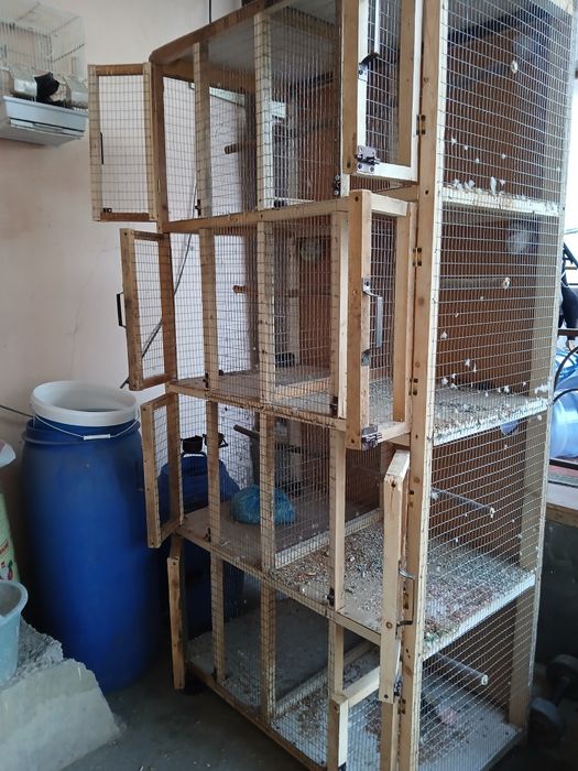 Валер кушлар учун