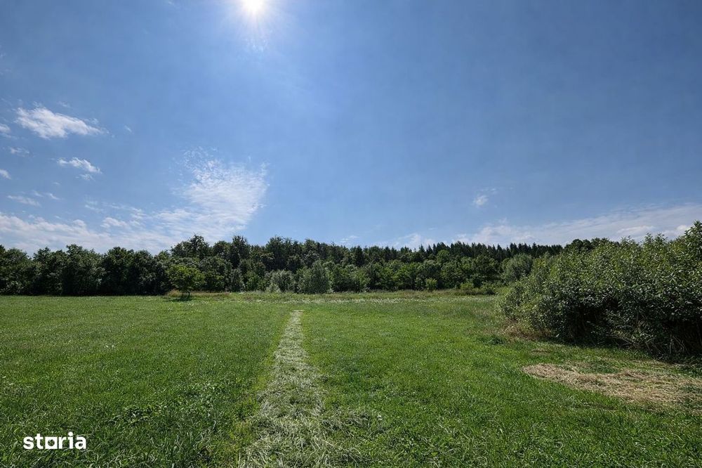 Teren extravilan | Horodnic De Sus | 3600MP