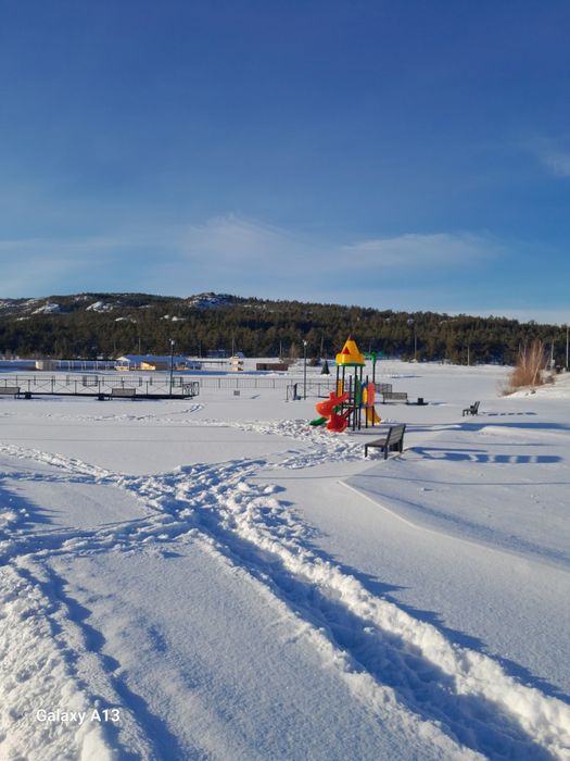 Сдам летний домик