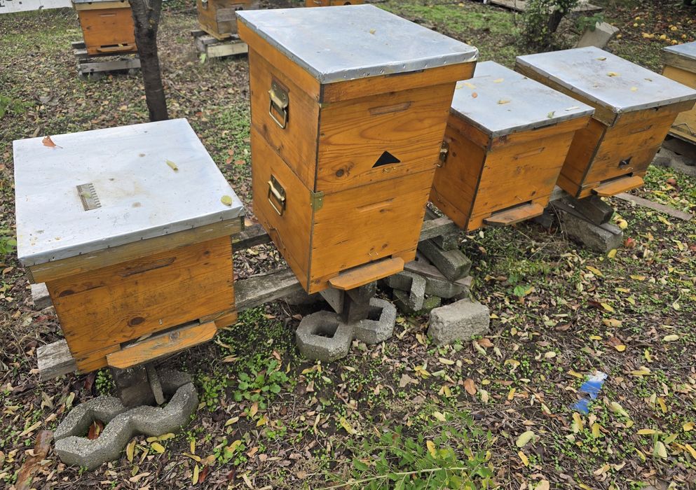 Stupi, caturi, centrifuga, diverse albine