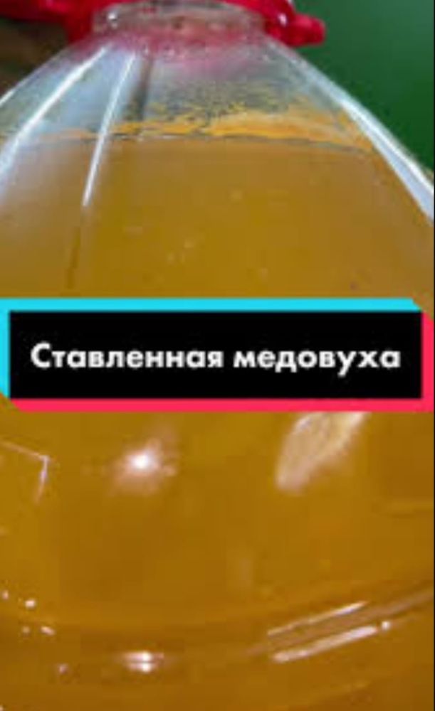 Домашняя медовуха: 2 000 тг. - Продукты питания / напитки Алматы на Olx