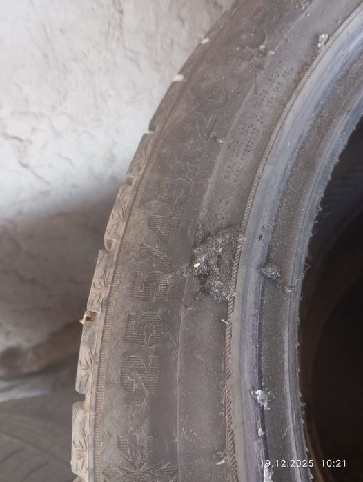 Шины қыстық балоны