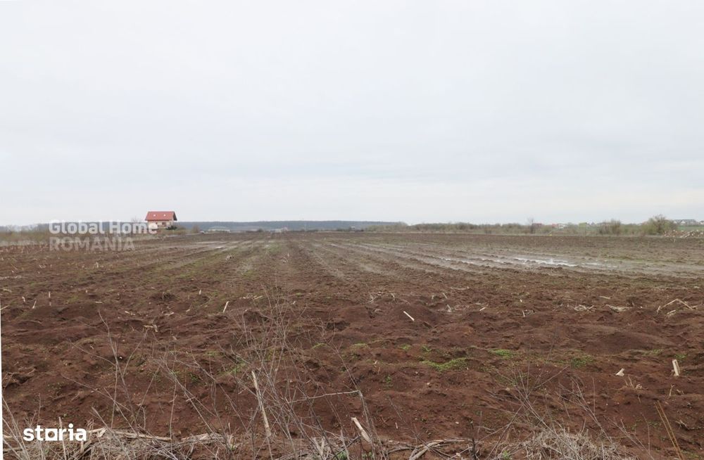 Teren 4000 mp langa Padurea Petresti | Investitie dezvoltare | Corbean