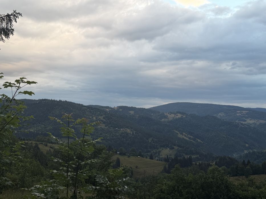 Teren de vanzare in Muntii Apuseni
