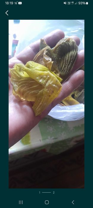 Плёнка желудка куриная