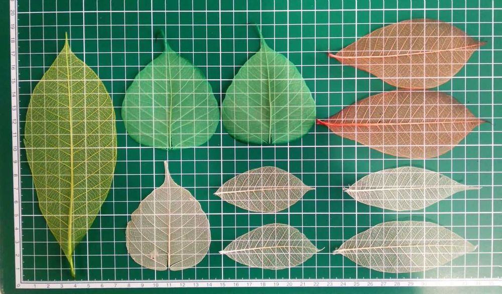 Искусственные листья для творчества