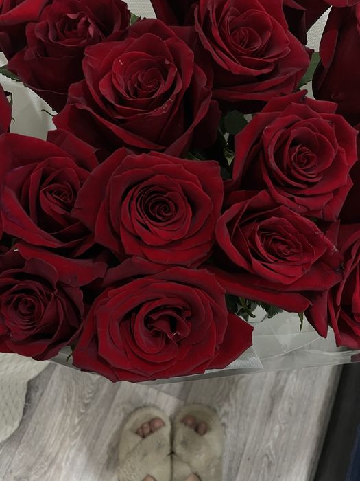 Метровый роза . 17 штук
