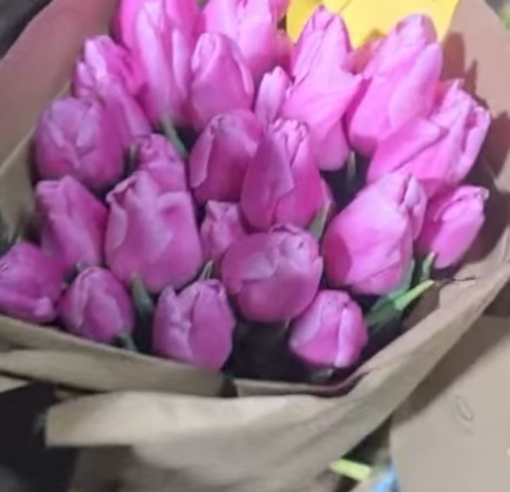 Тюльпаны Алматы Розовые