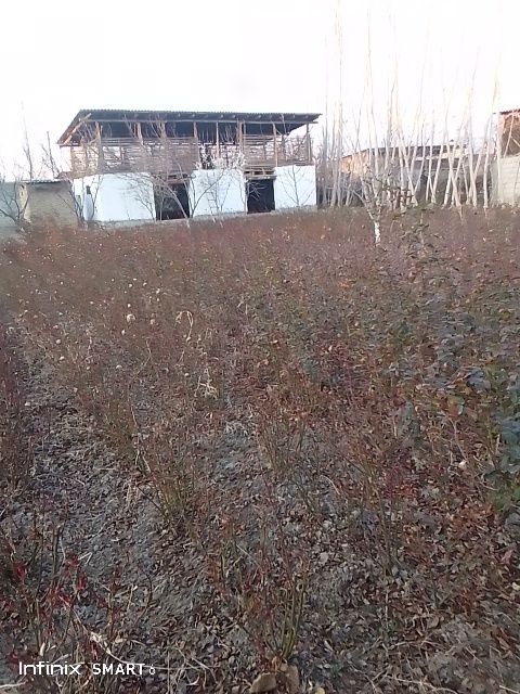 Атиргул кучатлори бор чу́рни маги ва бошка су́ртлар халати зу́р
