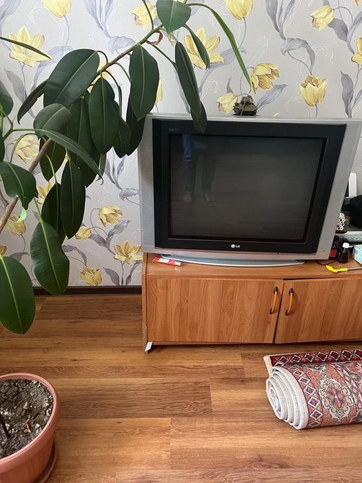 Люстра,тумба под телевизор