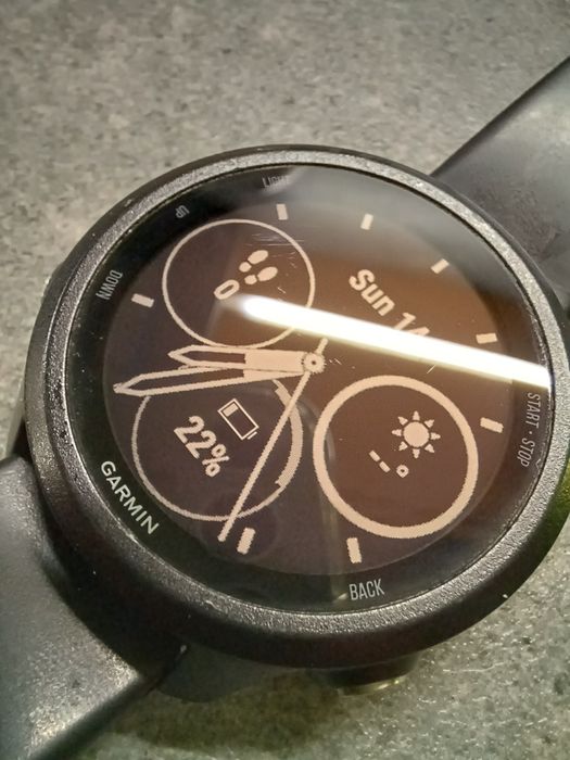 Garmin Forerunner 245