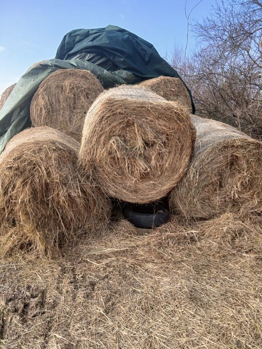 Vand baloti  fan si luterna