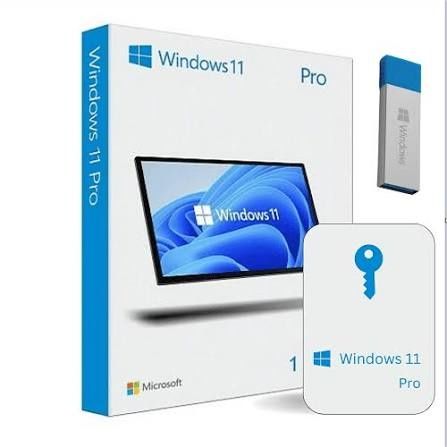 Instalare Windows 11 , 10 , 7 Licentiate