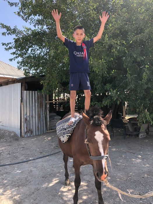 пони сатылымда .