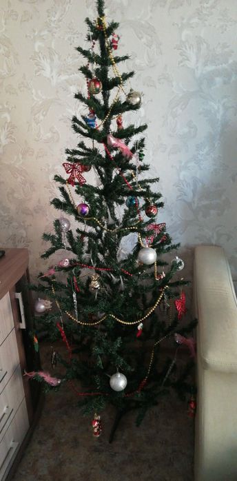 Ёлка новогодняя !