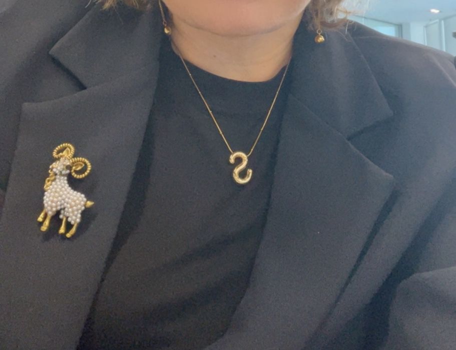 Брошь для козерогов