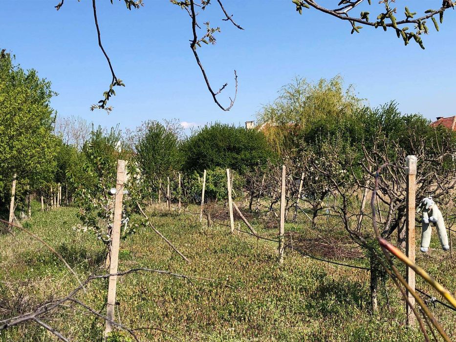 Продава се Парцел в с. Анево, Област Пловдив - 4000 кв.м за 4 €/кв.м - Снимка #5