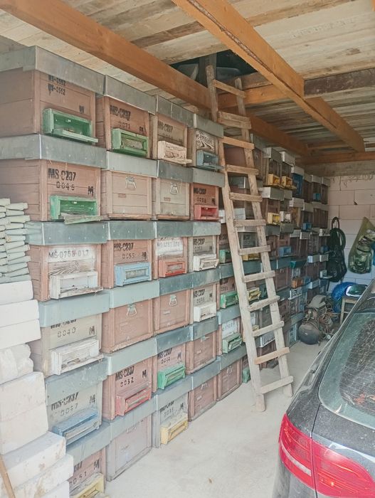 Lazi petru stupi 100buc, stas 10 rame