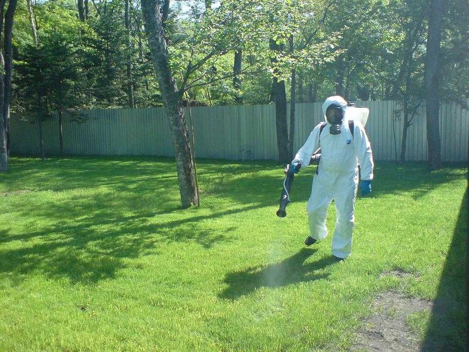 Сад, дача и огород: обработка от тли и насекомых