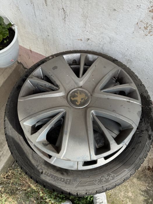 Roti Iarna Peugeot
