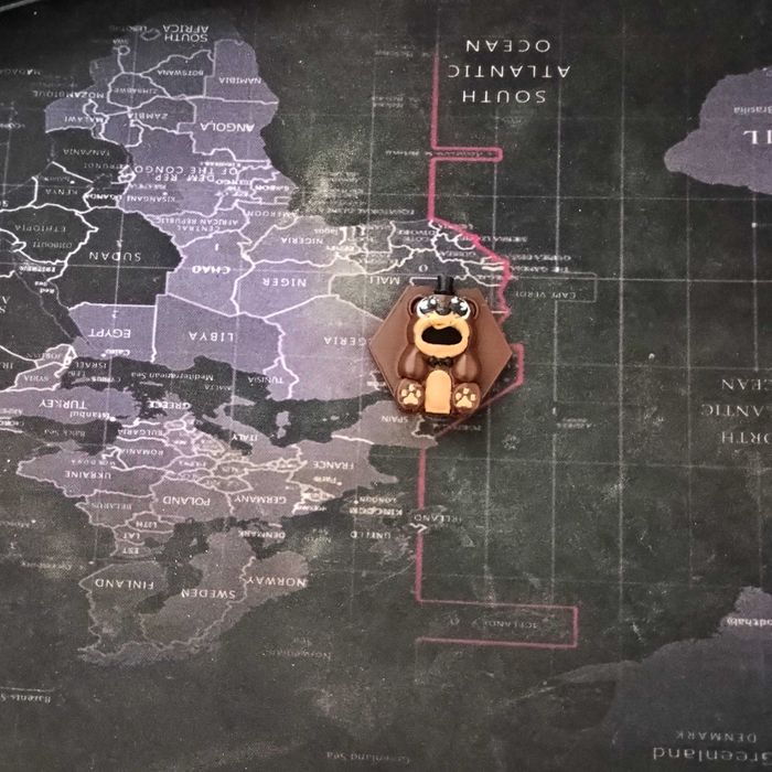 Лабкойн - Шошо Фреди