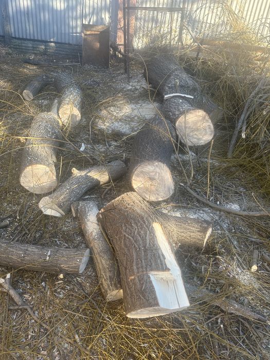 Продам дрова , самовывоз