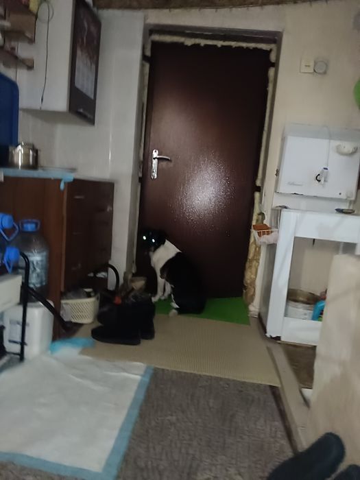 Продам зимнюю дачу в городе