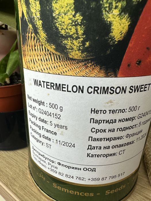 Продавам семена за диня КРИМСОН-нетно тегло 500 гр