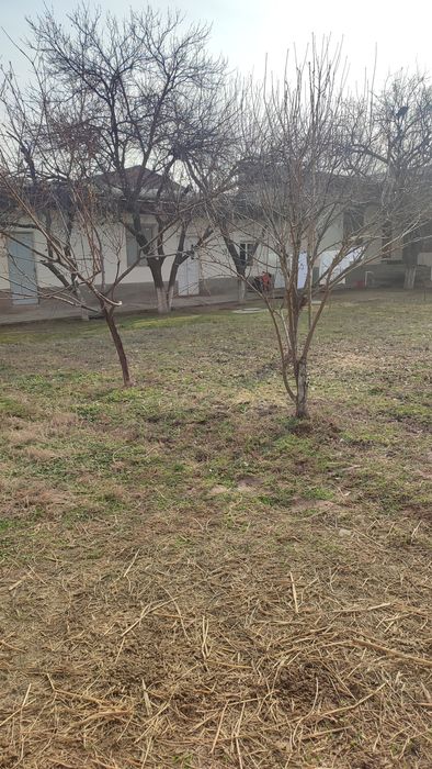 Назарбек Туркестан молбозор 1 км 8 сот 7 хона