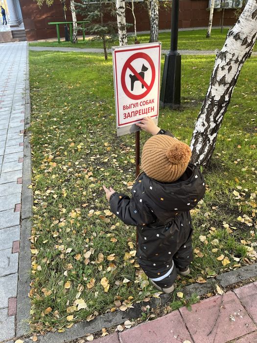 Комбинезон демисезоный