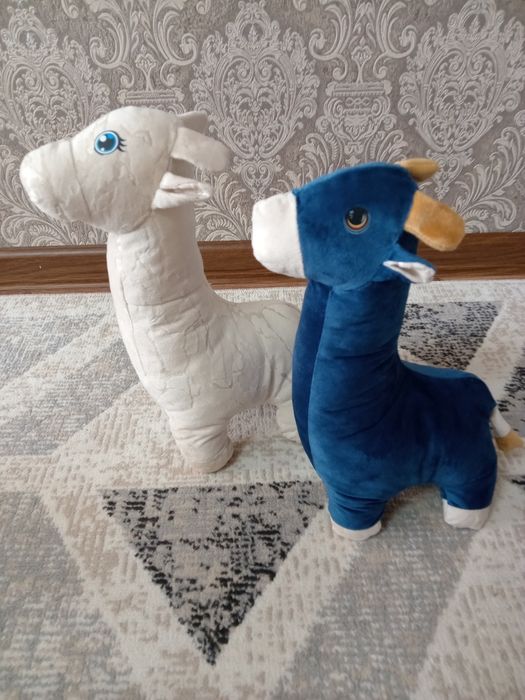 1000тг 2500тг диын