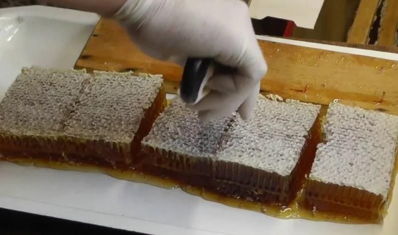 Свежий натуральный мёд