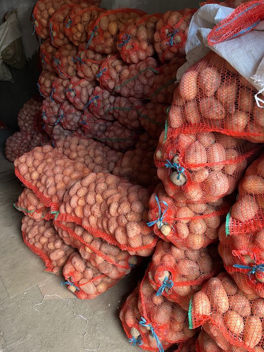 Vand cartofi alb si rosu  Bella Rosa