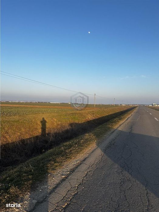 Teren Industrial, Oradea, spre Livada