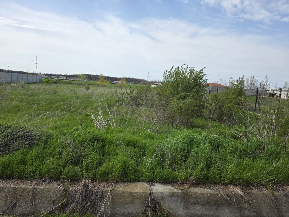 Inchiriere teren, Cornetu Ilfov, langa A0