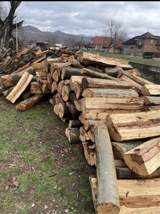 ‼️Vindem lemne de foc [Fag,Gorun,Carpen,Cer] la cel mai bun preț