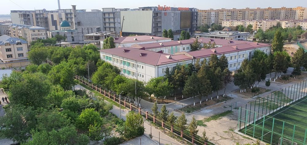 Ибнсино-2 4/8/9 свой (узимники)