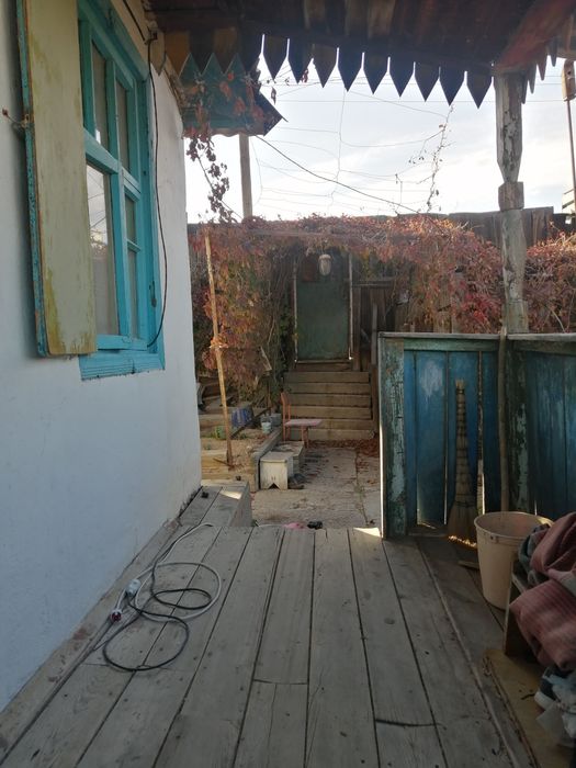 Дача на берегу соленого озера