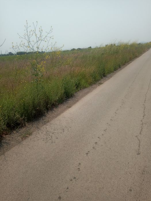 Продава се Парцел в Варна, Военна болница - 3020 кв.м за 41 €/кв.м - Снимка #2