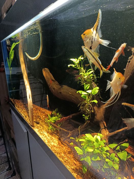 Аквариум в сборе