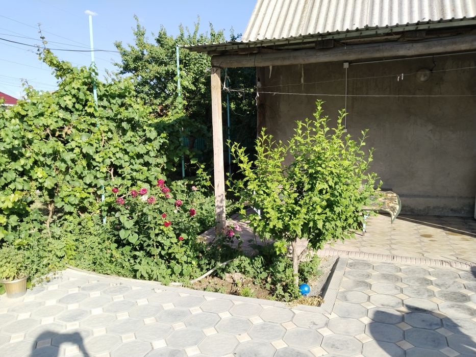 Времянка 3 комн., уч. 6 сот.