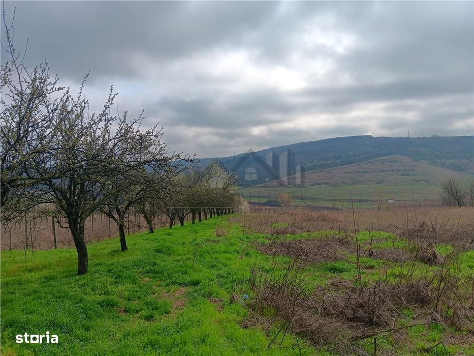 Aroneanu - Dorobant TEREN 46000mp PUZ realizat 59 de case la str princ