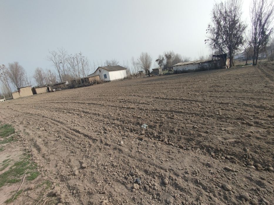 Tezda uy sotiladi: Qulay joylashuv, katta yer maydoni.