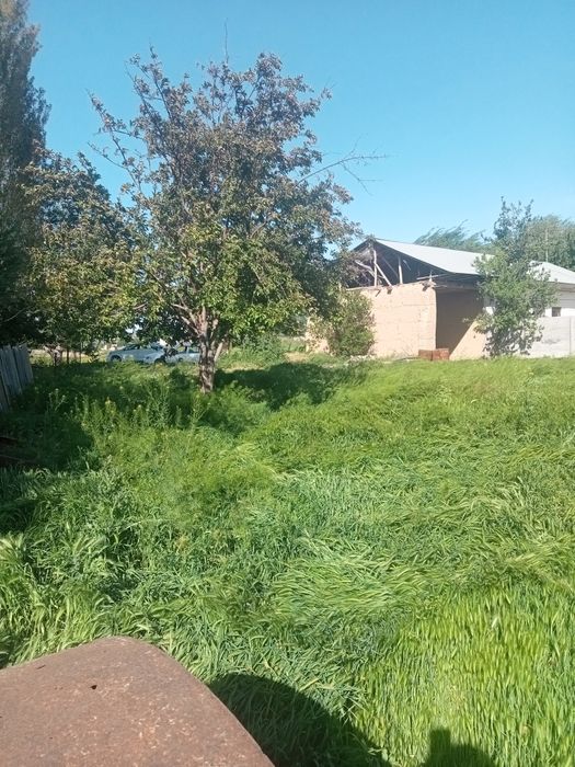 Yer sotiladi 7 sotix