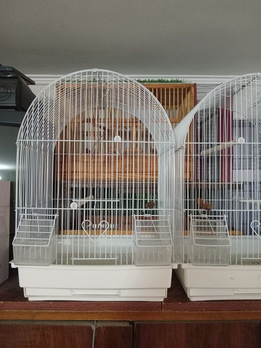 Клетки для декоративных птиц