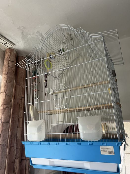 Colivie pt pasari cu accesorii, recipiente pt apa, os de sepie, oglinda mica pt pasari rezervor de apa