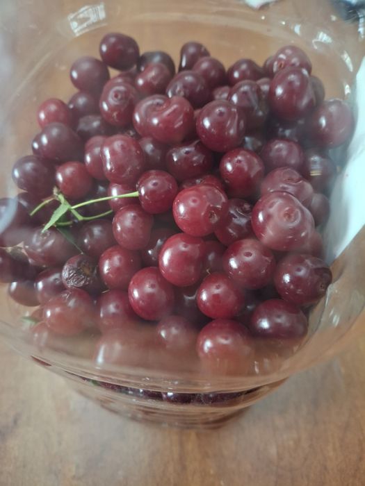 Продам саженцы вишни