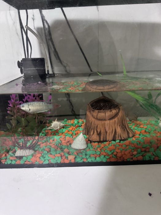 Продам  аквариум