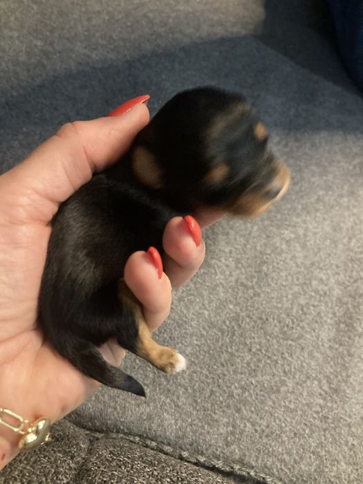 Дамски сандали Зара