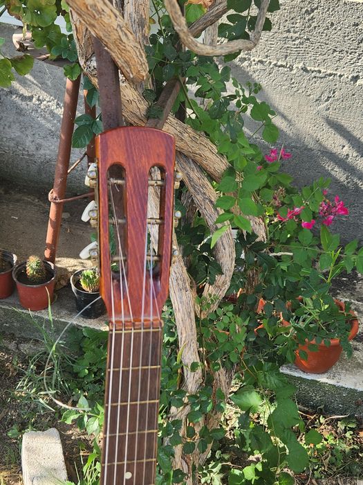 Chitara clasica vintage